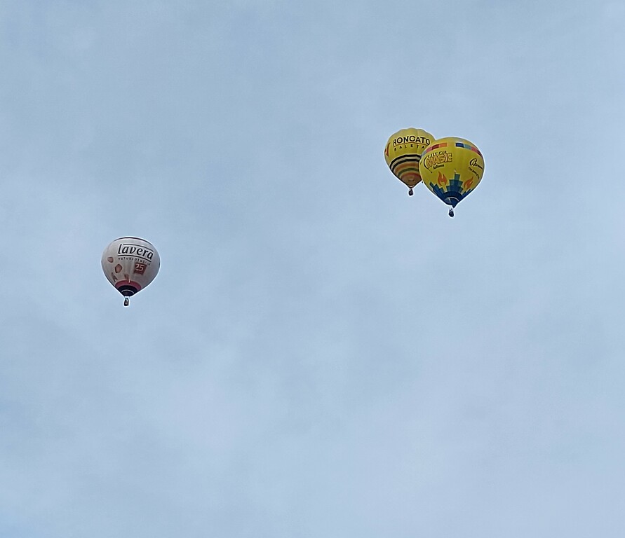 No s'ha trobat l'arxiu